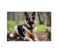 Jigsaw Puzzles1000 Piece Broleo Maple German Shepherd Dog Printing Educational Intellectual Wooden Puzzles, Fun Puzzles, Stress Relieving Puzzles