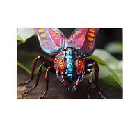 Jigsaw Puzzles1000 Piece Broleo Strange Insects Printing Educational Intellectual Wooden Puzzles, Fun Puzzles, Stress Relieving Puzzles