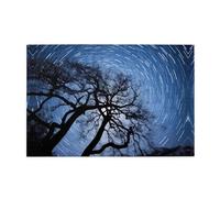 Jigsaw Puzzles1000 Piece Broleo Tree Top Spinning Printing Educational Intellectual Wooden Puzzles, Fun Puzzles, Stress Relieving Puzzles
