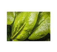 Jigsaw Puzzles1000 Piece Broleo Two Vegetable Leaves Printing Educational Intellectual Wooden Puzzles, Fun Puzzles, Stress Relieving Puzzles