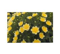 Jigsaw Puzzles1000 Piece Hytter Blooming Yellow Flower Pattern Educational Intellectual Wooden Puzzles, Fun Puzzles, Stress Relieving Game