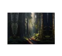 Jigsaw Puzzles1000 Piece Hytter California Redwood Forest Pattern Educational Intellectual Wooden Puzzles, Fun Puzzles, Stress Relieving Game