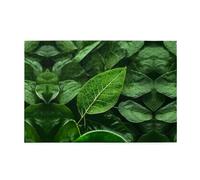 Jigsaw Puzzles1000 Piece Hytter Green Leaf Nature Pattern Educational Intellectual Wooden Puzzles, Fun Puzzles, Stress Relieving Game