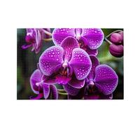 Jigsaw Puzzles1000 Piece Jkiegoq Orchid Flower Printed Educational Intellectual Wooden Puzzles, Fun Puzzles, Stress Relieving Game