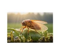 Jigsaw Puzzles1000 Piece Whjdpp Dewdrop Cicada Pattern Educational Intellectual Wooden Puzzles, Fun Puzzles, Stress Relieving Puzzles