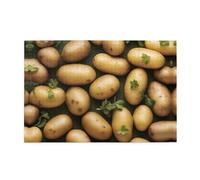 Jigsaw Puzzles1000 Piece Whjdpp Garden Potatoes Picture Educational Intellectual Wooden Puzzles, Fun Puzzles, Stress Relieving Game