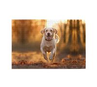 Jigsaw Puzzles1000 Piece Whjdpp Labrador Pattern Educational Intellectual Wooden Puzzles, Fun Puzzles, Stress Relieving Puzzles