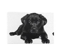 Jigsaw Puzzles1000 Piece Whjshop Black Labrador Puppy Printing Quality Wooden Puzzle for Adults and Kids, Fun Puzzles, Stress Relieving Puzzles