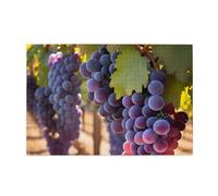 Jigsaw Puzzles1000 Piece Whjshop Desert Grapes Prints Educational Intellectual Wooden Puzzles, Fun Puzzles, Stress Relieving Puzzles