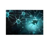 Jigsaw Puzzles1000 Piece Yyhwhjde A Few Nerve Cells Pattern Quality Wooden Puzzle for Adults and Kids, Fun Puzzles, Stress Relieving Puzzles
