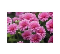 Jigsaw Puzzles1000 Piece Yyhwhjde Beautiful Pink Flowers Pattern Quality Wooden Puzzle for Adults and Kids, Fun Puzzles, Stress Relieving Puzzles