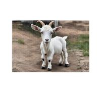 Jigsaw Puzzles1000 Piece Yyhwhjde Cute Goat Picture Educational Intellectual Wooden Puzzles, Fun Puzzles, Stress Relieving Puzzles