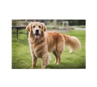 Jigsaw Puzzles1000 Piece Yyhwhjde Cute Golden Retriever Prints Quality Wooden Puzzle for Adults and Kids, Fun Puzzles, Stress Relieving Puzzles