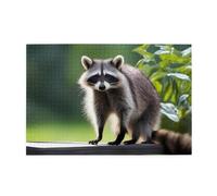 Jigsaw Puzzles1000 Piece Yyhwhjde Cute Raccoon Prints Educational Intellectual Wooden Puzzles, Fun Puzzles, Stress Relieving Game