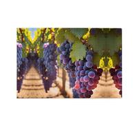 Jigsaw Puzzles1000 Piece Yyhwhjde Desert Grapes Picture Educational Intellectual Wooden Puzzles, Fun Puzzles, Stress Relieving Puzzles