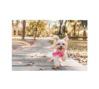 Jigsaw Puzzles1000 Piece Yyhwhjde Dog Running Toward You Prints Quality Wooden Puzzle for Adults and Kids, Fun Puzzles, Stress Relieving Puzzles