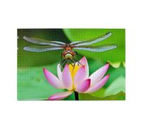 Jigsaw Puzzles1000 Piece Yyhwhjde Dragonfly On Lotus Flower Picture Educational Intellectual Wooden Puzzles, Fun Puzzles, Stress Relieving Puzzles
