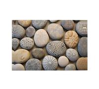 Jigsaw Puzzles1000 Piece Yyhwhjde Petoskey Stone Picture Educational Intellectual Wooden Puzzles, Fun Puzzles, Stress Relieving Puzzles