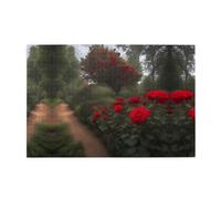 Jigsaw Puzzles1000 Piece Yyhwhjde Red Roses On The Curb Pattern Quality Wooden Puzzle for Adults and Kids, Fun Puzzles, Stress Relieving Puzzles