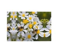 Jigsaw Puzzles1000 Piece Yyhwhjde Sunflower with Little Bees Pattern Quality Wooden Puzzle for Adults and Kids, Fun Puzzles, Stress Relieving Puzzles