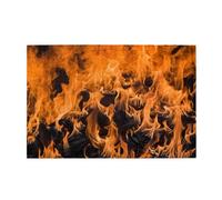 Jigsaw Puzzles1000 Piece Yyhwhjde Wildfire Burning Prints Educational Intellectual Wooden Puzzles, Fun Puzzles, Stress Relieving Game