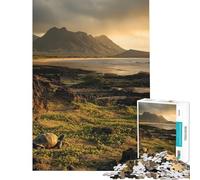 Jigsaw Puzzles1000 Pieces Galapagos Turtle on Beach Landscape Puzzle for Adults Brain Teaser Game For Family Fun Gifts for Friends And Family (Size 38x52cm)