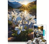 Jigsaw Puzzles1000 Pieces Mountain Sunrise Wild Columbine Educational Games Stress Reliever Unique Gifts for Birthday And Christmas 38x26cm