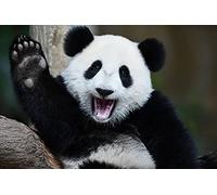 Jigsaw Wooden Puzzle 1000 Pieces A Playful Happy Panda Strings Wooden Puzzles Best Brain Exercises Educational Gift