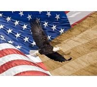 Jigsaw Wooden Puzzles 1000 Pieces for Adults,American Flag Flying Bald Eagle and Constitution Montage Wooden Puzzle Fit Together Perfectly Gifts for Family