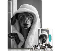 JigsawPuzzle 1000 Pieces for Adults Dachshund Taking A Bath,Challenging Game And Family Play Educational Game for Birthday,Chrismas 38X26CM