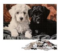 JigsawPuzzle 1000 Pieces for Adults Two Poodle Puppies Portrait Paper Jigsaw Puzzles for Adults Ideal And Home Decor 1000 PCS(38x26cm)