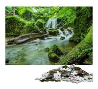 JigsawPuzzle 1000 Pieces for Adults Waterfall in Forest Nature Paper Jigsaw Puzzles for Adults Ideal And Home Decor 1000 PCS(38x26cm)
