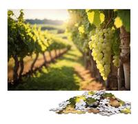 JigsawPuzzle 1000 Pieces for Adults White Grapes at A Vineyard Difficult Puzzles for Adults Challenging Brain Teaser for Teenagers Family Fun Interactive Game 1000 PCS(38x26cm)