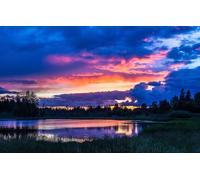 Jigsaws 100 pieces for adults - 100 piece jigsaw puzzles for adults is ideal as a gift for the whole family and the jigsaw puzzle, Trees, Landscape 45.5x35.5CM