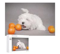 Jigsaws 1000 PCS for Adults Maltese Puppy Jigsaw Puzzle Brain Teaser Game Presents for Women Fun Activities at Home 1000 PCS