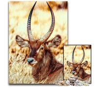 Jigsaws 1000 Pieces for Adults Antelope Impossible Jigsaw Puzzles for Adults Ideal for Lover Perfect Christmas New Year Valentine's Gift 1000 PCS(75x50cm)