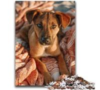 Jigsaws 1000 Pieces for Adults Autumn Dog 1000 Pieces for Teenagers,for Educational Game Challenge Toy Deal As Gifts for The Whole Family (50x75cm)
