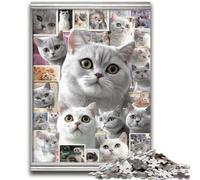 Jigsaws 1000 Pieces for Adults British Shorthair Cat Collage Family Fun for Is Ideal As A Gift for The Whole Family for And Age 14 Years Up 50x75cm