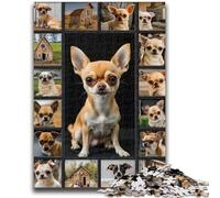 Jigsaws 1000 Pieces for Adults Chihuahua Collage Adult Jigsaw,Stress Reliever Difficult Challenge Suitable for Desktop Decoration (50x75cm)