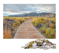 Jigsaws 1000 Pieces for Adults Paper Path Through Mono Lake Landscape Impossible Jigsaw Puzzles for Adults for Teenagers Couples And Friends for Birthdays Christmas 1000 PCS(38x26cm)