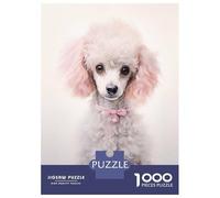 Jigsaws 1000 Pieces for Adults White Poodle Pink Mood Puzzles for Adults Brain Teaser Game Stress Reliever Unique Birthday And Xmas Gifts 70x50cm/1000pcs