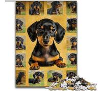 Jigsaws 1000 Pieces for Teenagers Dachshund Collage, for 14+ Challenging Game As A Gift for The Whole Family And Friends (Size50x75cm)