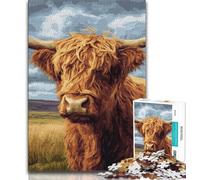 Jigsaws 1000 Pieces for Teenagers Highland Cow,Help The Brain Exercise Addictive Toys to Cultivate Patience Perfect Decoration (75x50cm)