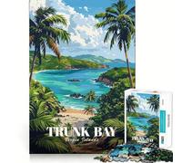 Jigsaws 1000 Pieces for Teenagers Trunk Bay, Virgin Islands Illustration Neat Joint Decor Mind Exercise Toy Rest Time Game Christmas Fun Gift (50x75cm)