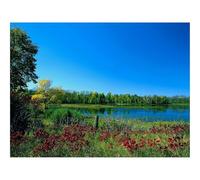 Jigsaws 1500 Pieces for Adults Challenging Game-Colors,paints,early,autumn 87x57cm