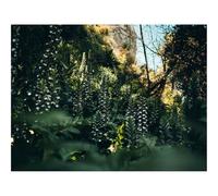 Jigsaws 1500 Pieces for Adults Challenging Game-Flowers,plants,wild 87x57cm