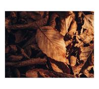 Jigsaws 1500 Pieces for Adults Challenging Game-Foliage,leaf,autumn 87x57cm