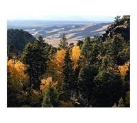 Jigsaws 1500 Pieces for Adults Challenging Game-forests,Trees,Hills,Distance 87x57cm