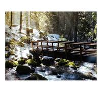 Jigsaws 1500 Pieces for Adults Challenging Game-forests,Trees,Rays,Sun,River,Bridge,Nature 87x57cm