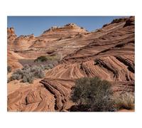 Jigsaws 1500 Pieces for Adults Challenging Game-Mountains,Bushes,Landscape,Brown 87x57cm